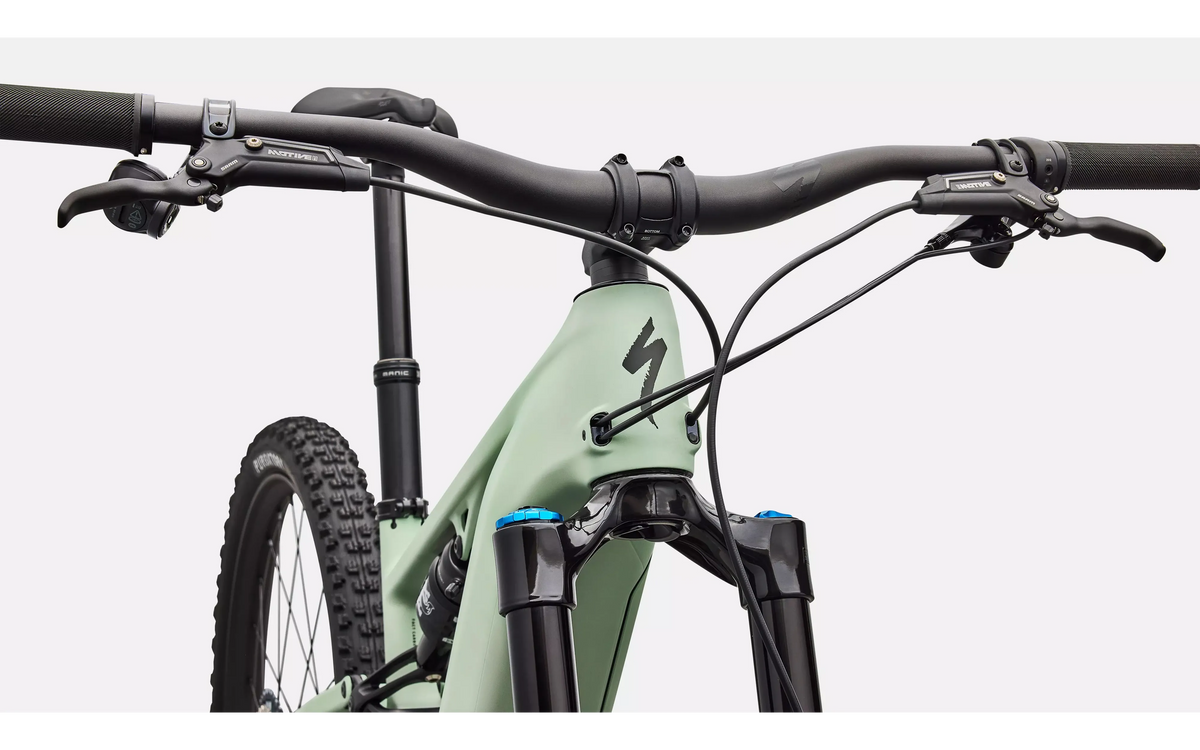 Turbo Levo R Expert