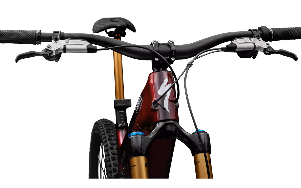 S-Works Turbo Levo 4