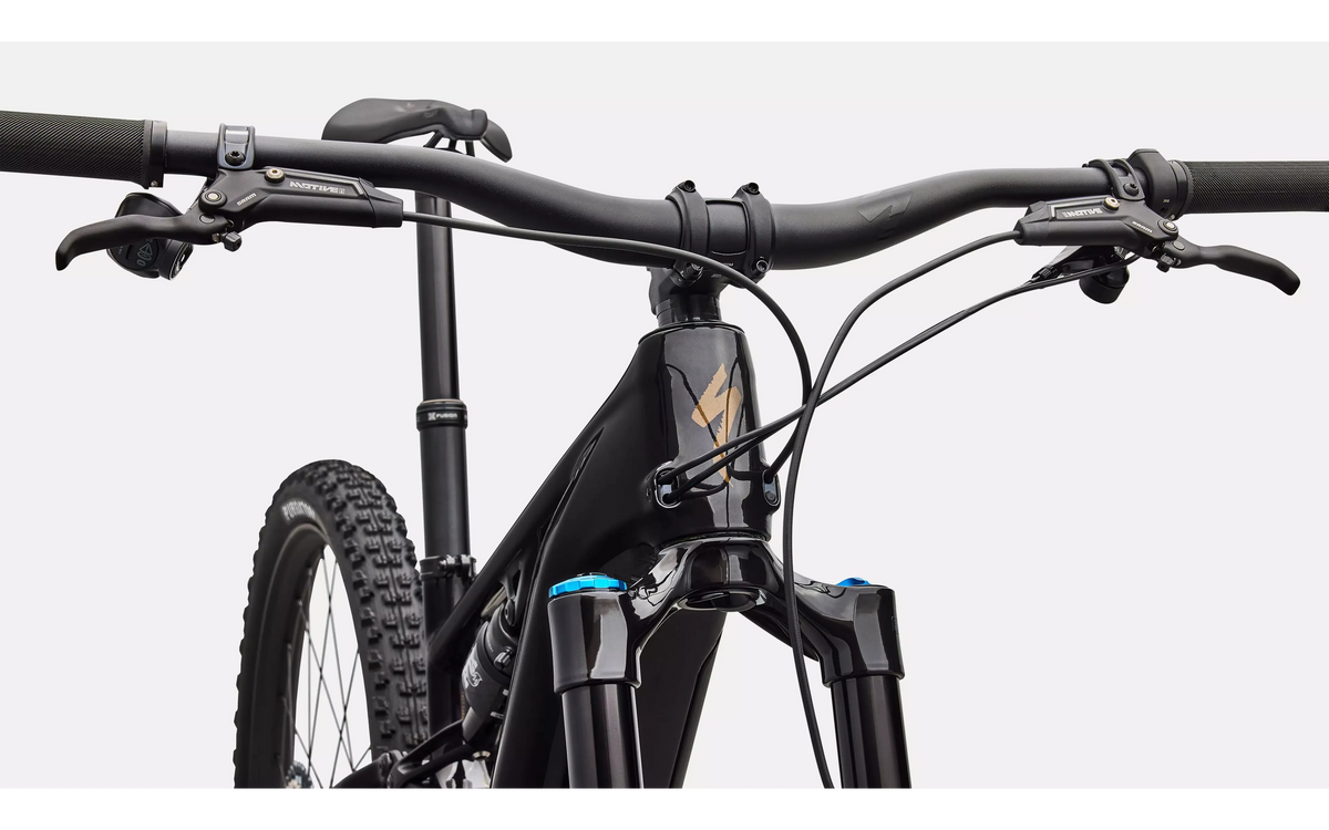Turbo Levo R Expert